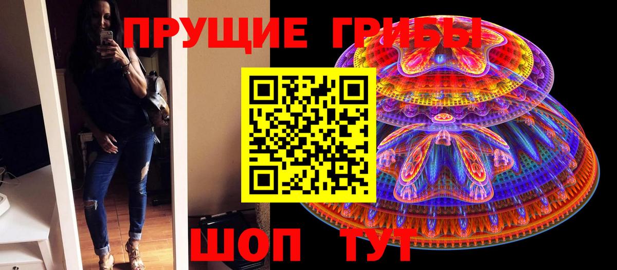 Галлюциногенные грибы мицелий  Псилоцибиновые грибы ЛСД  Вход с VPN  Владимир 